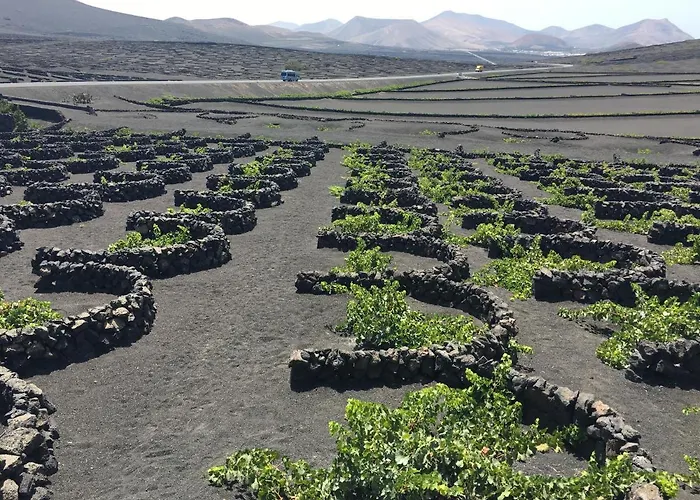 Linda Con Piscina Privada فيلة